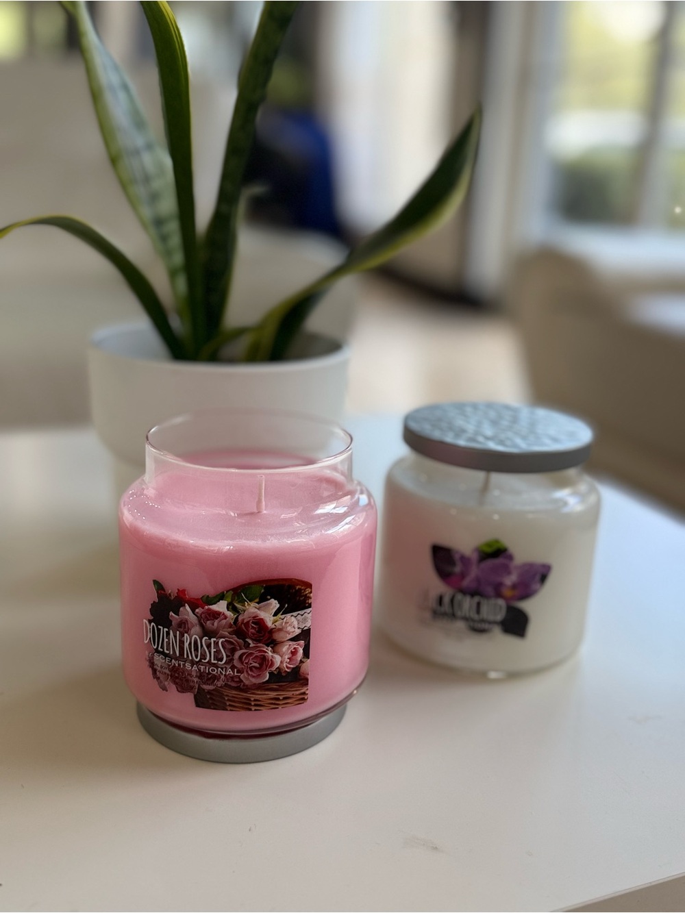 Dozen Roses Pink Scented Jar Candle - Unbranded